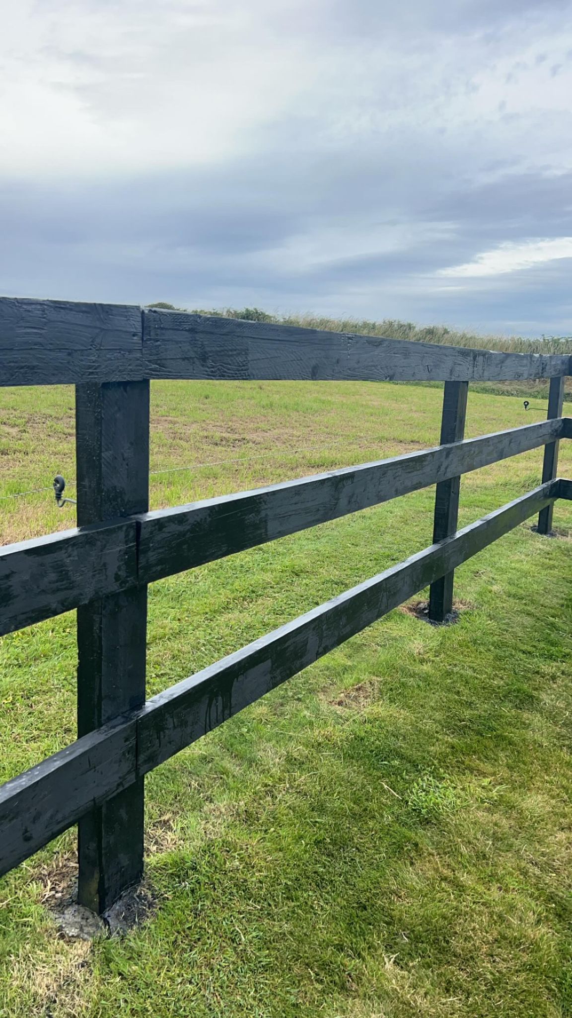 Fence & Shed Paint